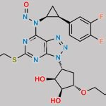 Ticagrelor Nitroso Impurity 18 CAS#: N/A