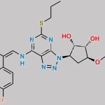 Ticagrelor Nitroso Impurity 19 CAS#: N/A