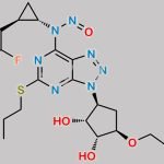 Ticagrelor Nitroso Impurity 2 CAS#: N/A