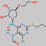 Ticagrelor Nitroso Impurity 20 CAS#: N/A