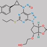 Ticagrelor Nitroso Impurity 3 CAS#: N/A