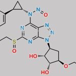 Ticagrelor Nitroso Impurity 4 CAS#: N/A