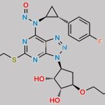 Ticagrelor Nitroso Impurity 6 CAS#: N/A