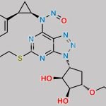 Ticagrelor Nitroso Impurity 7 CAS#: N/A