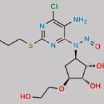 Ticagrelor Nitroso Impurity 9 CAS#: N/A