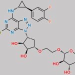 Ticagrelor O-Glucuronide CAS#: N/A