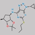 Ticagrelor Related Compound 12 CAS#: 1630025-26-1