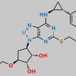 Ticagrelor Related Compound 16 CAS#: 2096989-56-7