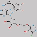 Ticagrelor Related Compound 18 CAS#: N/A
