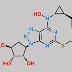 Ticagrelor Related Compound 33 (DP4) CAS#: 1644461-92-6