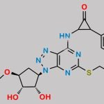 Ticagrelor Related Compound 34 (DP6) CAS#: N/A