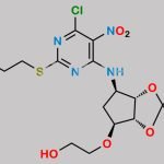 Ticagrelor Related Compound 52 CAS#: 1265919-25-2
