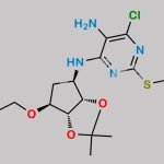 Ticagrelor Related Compound 55 CAS#: 1402150-00-8