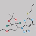 Ticagrelor Related Compound 56 CAS#: 1628340-74-8