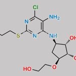Ticagrelor Related Compound 57 CAS#: 1402150-32-6