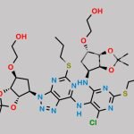 Ticagrelor Related Compound 58 CAS#: N/A
