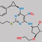 Ticagrelor Related Compound 61 CAS#: 1630025-27-2