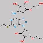 Ticagrelor Related Compound 65 CAS#: 2205903-72-4