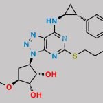 Ticagrelor Related Compound 67 CAS#: N/A