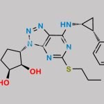 Ticagrelor Related Compound 77 CAS#: N/A