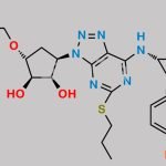 Ticagrelor Related Compound 78 CAS#: N/A