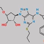 Ticagrelor Related Compound 79 CAS#: N/A