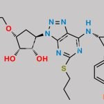 Ticagrelor Related Compound 80 CAS#: 2435586-08-4
