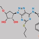 Ticagrelor Related Compound 81 CAS#: 2435586-09-5
