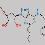 Ticagrelor Related Compound 82 CAS#: 2435586-10-8