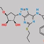 Ticagrelor Related Compound 83 CAS#: 2435586-12-0