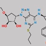 Ticagrelor Related Compound 86 CAS#: N/A