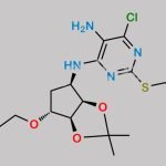 Ticagrelor Related Compound 93 CAS#: N/A