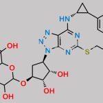 Ticagrelor Related Compound 97 CAS#: N/A