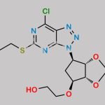 Ticagrelor Related Compound 99 CAS#: 376608-75-2