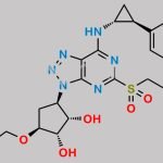 Ticagrelor Sulfone CAS#: 274693-39-9