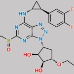 Ticagrelor Sulfoxide CAS#: 1644461-85-7