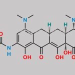 Tigecycline CAS#: 220620-09-7