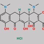Tigecycline EP Impurity B (HCl) CAS#: 149934-21-4