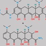Tigecycline Minocycline CAS#: N/A