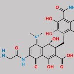Tigecycline EP Impurity D CAS#: 1138343-10-8
