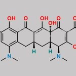 Tigecycline EP Impurity B CAS#: 149934-19-0