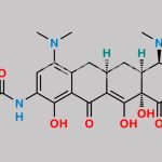 Tigecycline EP Impurity A CAS#: 1422262-97-2