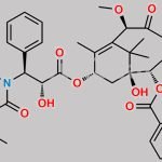Tigloyl Cabazitaxel CAS#: N/A
