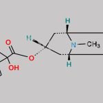 Tiotropium EP Impurity B CAS#: 136310-64-0