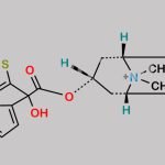 Tiotropium EP Impurity C CAS#: 136310-95-7