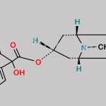 Tiotropium EP Impurity D CAS#: 136310-66-2
