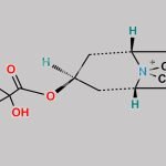 Tiotropium Impurity I CAS#: N/A