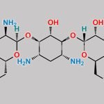 Tobramycin CAS#: 32986-56-4