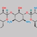 Tobramycin EP Impurity A CAS#: 4696-76-8
