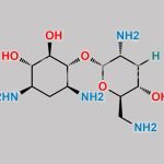 Tobramycin EP Impurity B CAS#: 34051-04-2